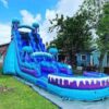 Jellyfish Water Slide