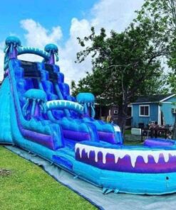 Jellyfish Water Slide