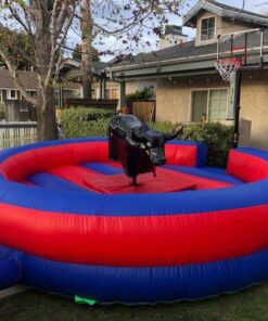 Mechanical Bull Bouncer